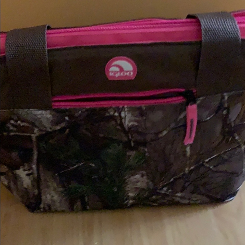 Igloo lunch bag
